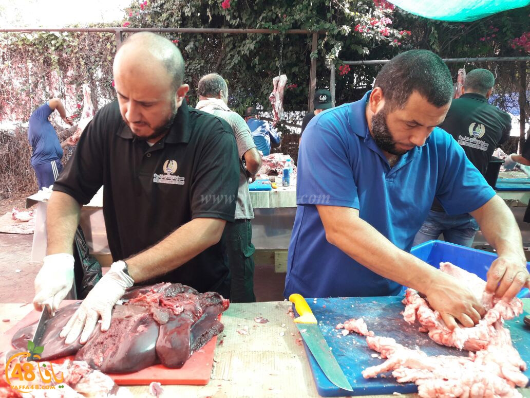 lod8om ada73y (46).jpg